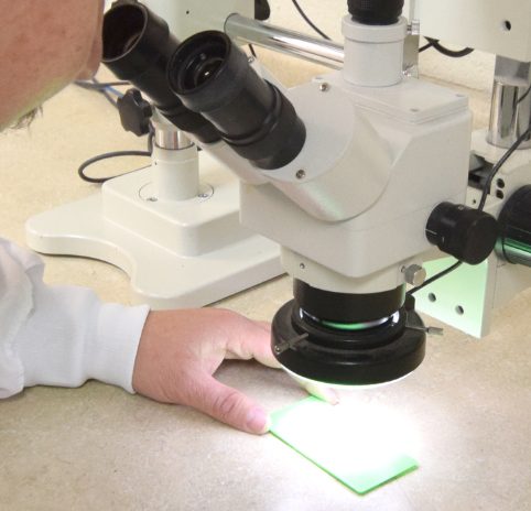 man looking into microscope in Primex lab