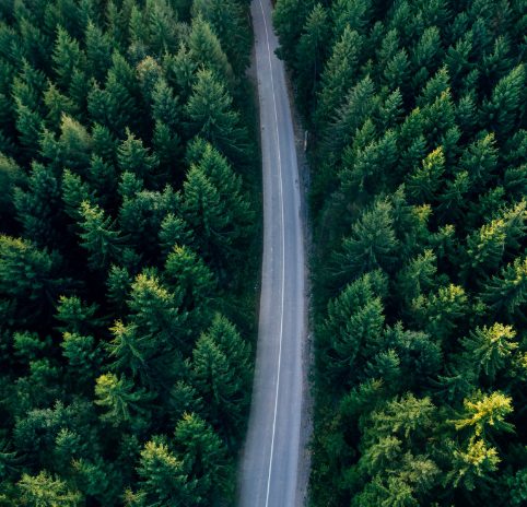 Aerial view of trees ad winding road