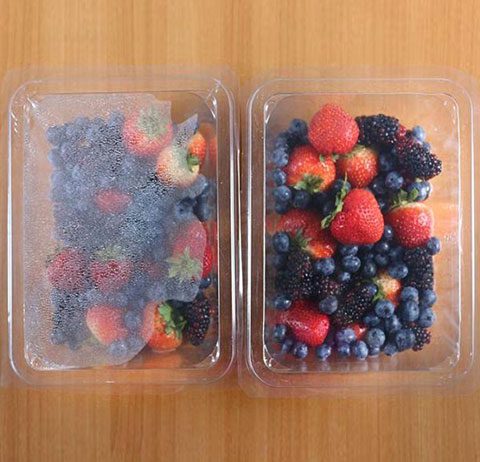 berries in anti fog plasic containers