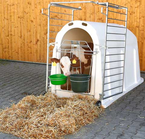 plastic cow shed